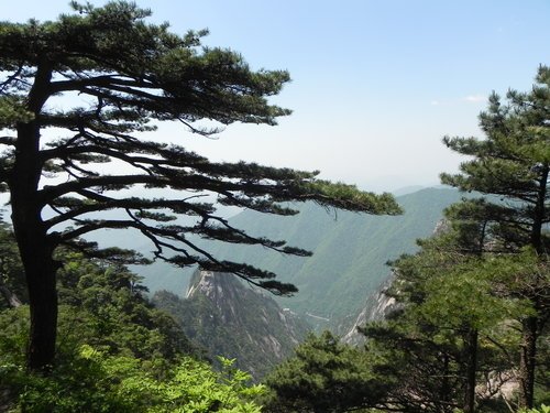 大陸黃山行〈二〉前山