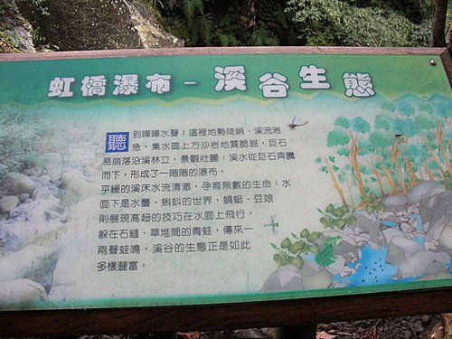 馬武督探索森林