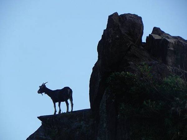 DSCN9376.jpg
