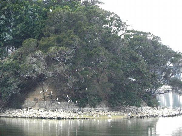 DSCN1543.jpg