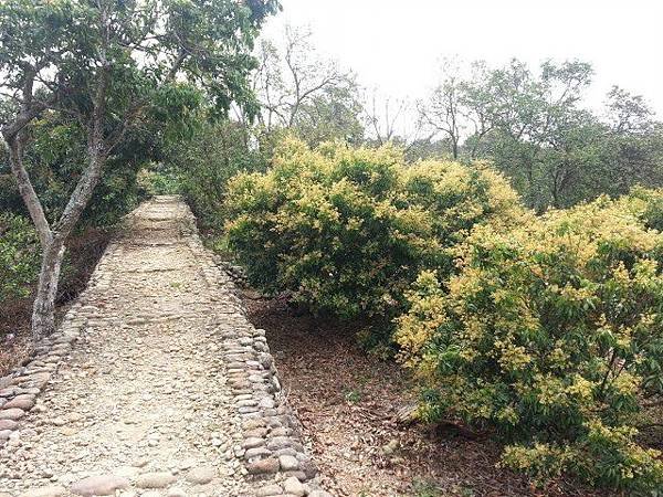 20140406_104340.jpg