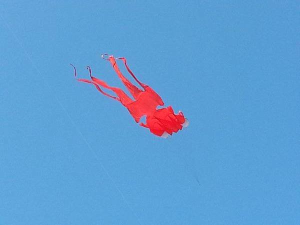 20140927_152605.jpg