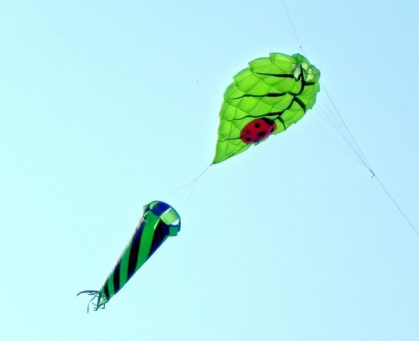 DSCN5241.jpg