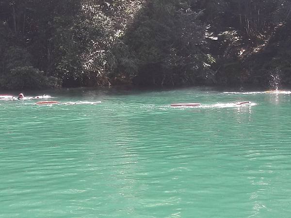 20160911_094558.JPG