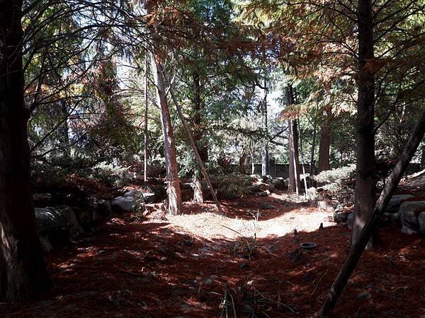 20171007_102818012----2.JPG