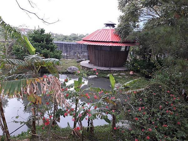 20171126_094440012----.JPG