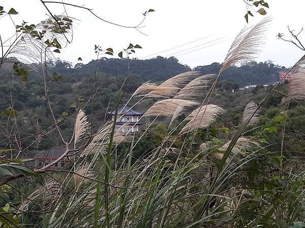 20171230_161146012----.JPG