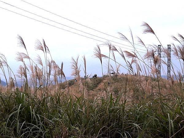 20171230_161954012----.JPG