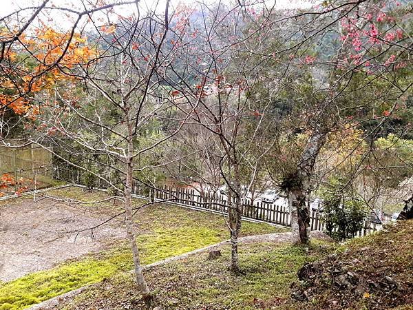20180121_133451012----1.JPG