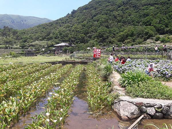 20180612_114728012---1--.JPG