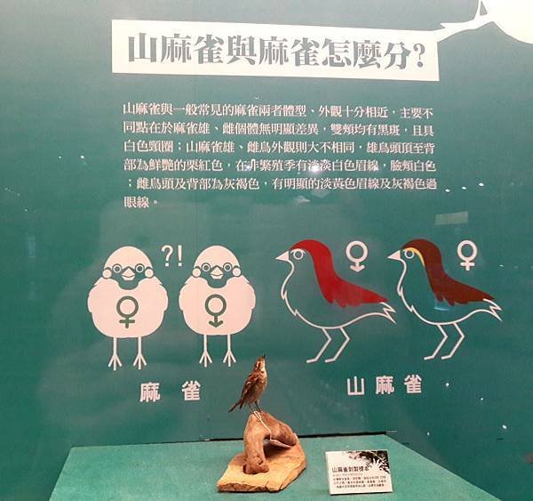 20180704_102346-1012---1.JPG