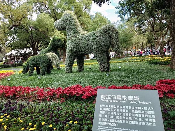 IMG20181209131622012-1-.JPG