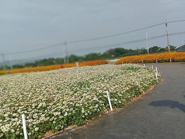 IMG20191126101106012-1----.JPG
