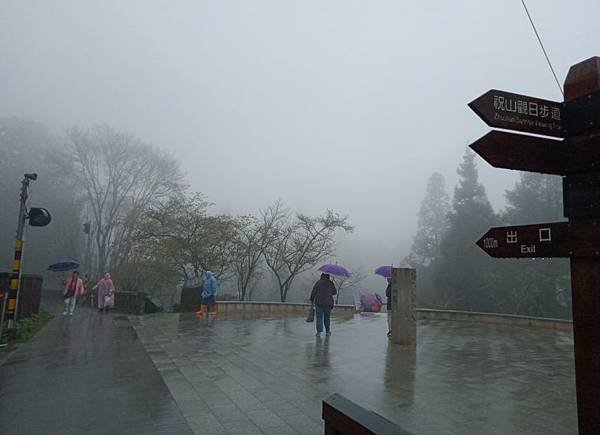 IMG20200314135256012-1----.JPG