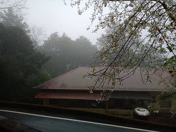 IMG20200314141028012-1----.JPG