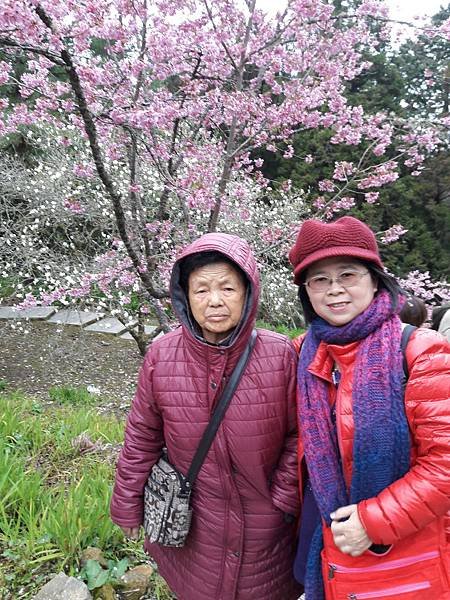 20170310_105319.jpg