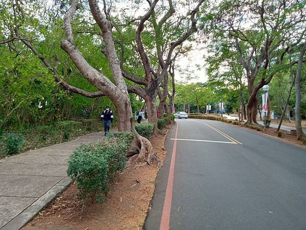 IMG20201205160332003-1-2.JPG