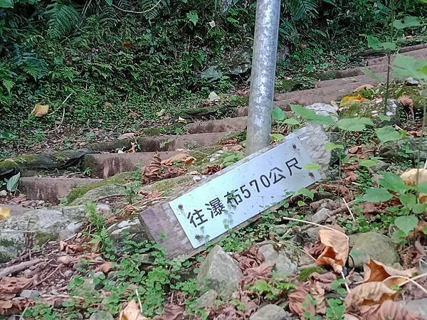 IMG20210831160412003-1-2------.JPG