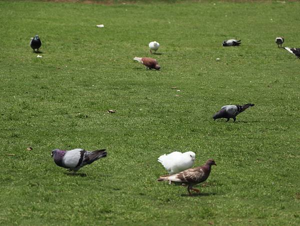 IMG_8713.JPG