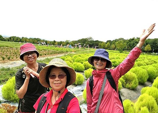 花蓮郵輪式公車四日遊(九)宜蘭冬山波波草轉紅了