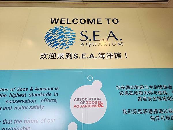 新加坡自由行五日遊(六) SEA水族館