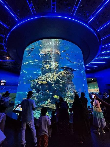 新加坡自由行五日遊(六) SEA水族館