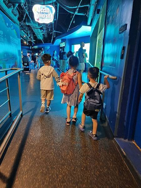 新加坡自由行五日遊(六) SEA水族館