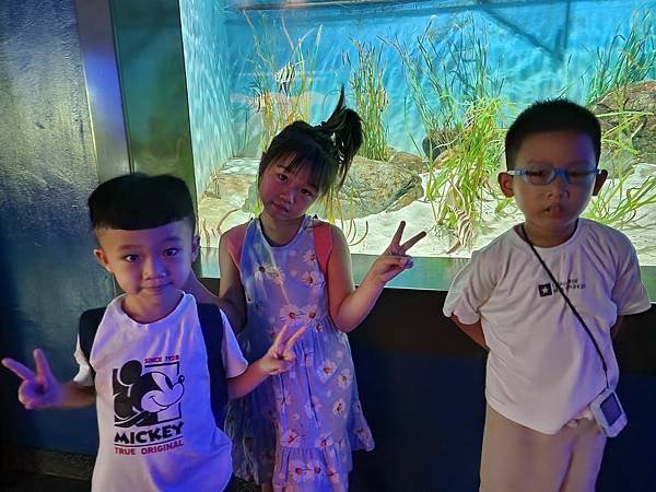 新加坡自由行五日遊(六) SEA水族館