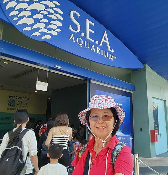 新加坡自由行五日遊(六) SEA水族館