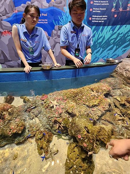 新加坡自由行五日遊(六) 聖淘沙SEA海洋館