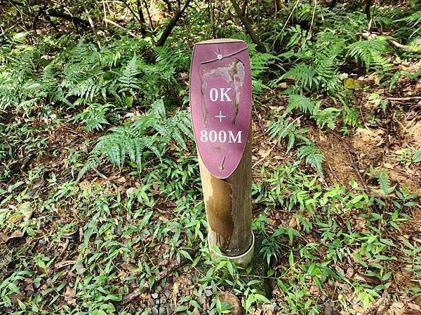 辰彥旅遊圓夢之旅一）宜蘭茅埔城步道