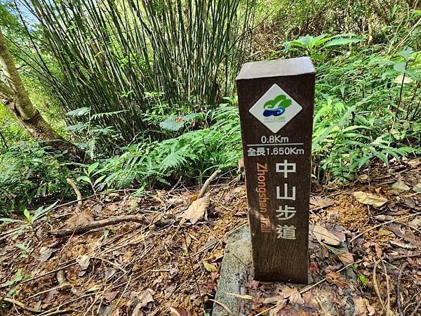 辰彥旅遊圓夢之旅一）宜蘭茅埔城步道