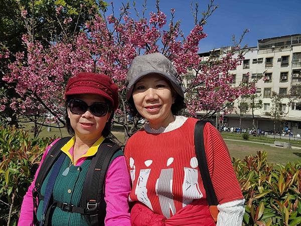 【台北賞櫻景點】東湖樂活公園賞櫻&amp;內溝溪步道粉嫩浪漫櫻花