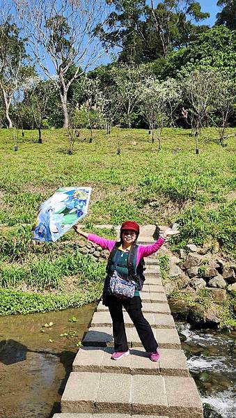 【台北賞櫻景點】東湖樂活公園賞櫻&amp;內溝溪步道粉嫩浪漫櫻花