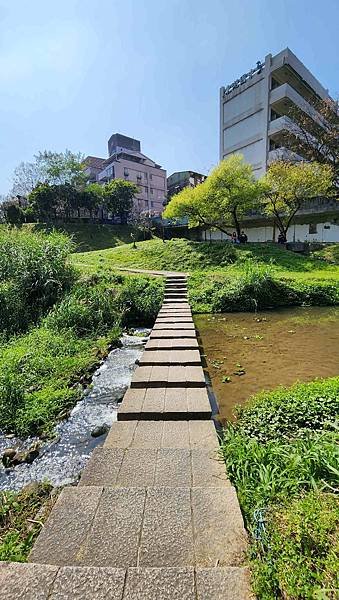 【台北賞櫻景點】東湖樂活公園賞櫻&amp;內溝溪步道粉嫩浪漫櫻花