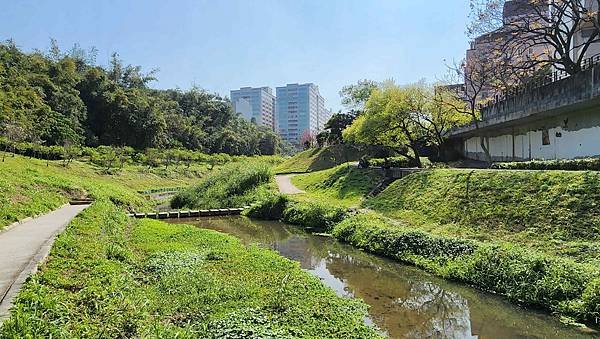 【台北賞櫻景點】東湖樂活公園賞櫻&amp;內溝溪步道粉嫩浪漫櫻花