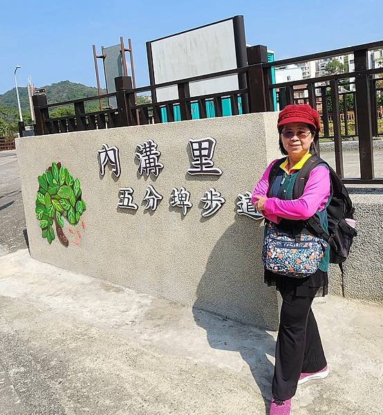 【台北賞櫻景點】東湖樂活公園賞櫻&amp;內溝溪步道粉嫩浪漫櫻花