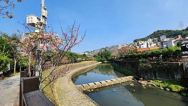 【台北賞櫻景點】東湖樂活公園賞櫻&amp;內溝溪步道粉嫩浪漫櫻花