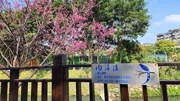 【台北賞櫻景點】東湖樂活公園賞櫻&amp;內溝溪步道粉嫩浪漫櫻花