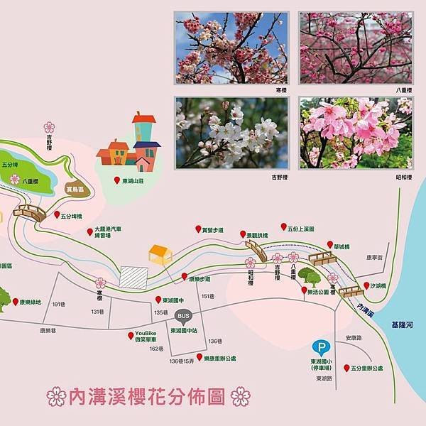 【台北賞櫻景點】東湖樂活公園&amp;內溝溪賞櫻生態之旅