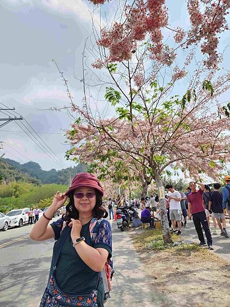 二水鐵道花旗木粉浪漫與火車同框