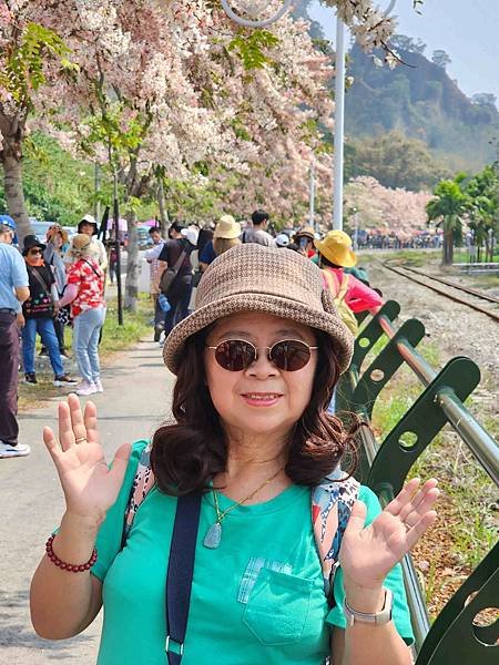二水鐵道花旗木粉浪漫與火車同框