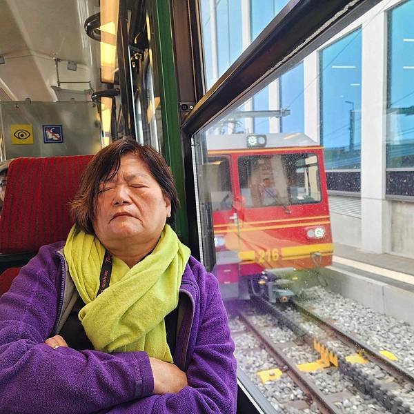 歐洲德瑞人間仙境15天深度之旅(九) 瑞士少女峰~~有歐洲之