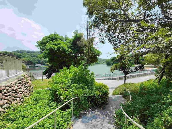 新竹青草湖鳳凰橋于飛島(鳳凰于飛)~~~新竹八景之一