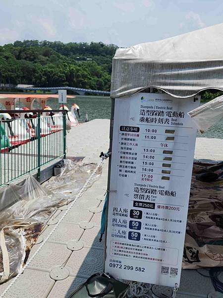 新竹青草湖鳳凰橋于飛島(鳳凰于飛)~~~新竹八景之一