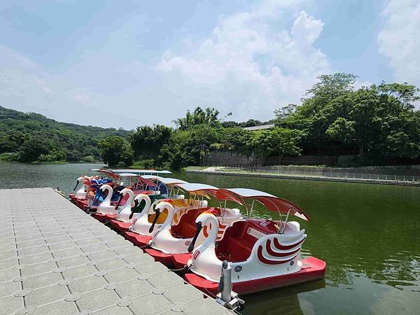新竹青草湖鳳凰橋于飛島(鳳凰于飛)~~~新竹八景之一