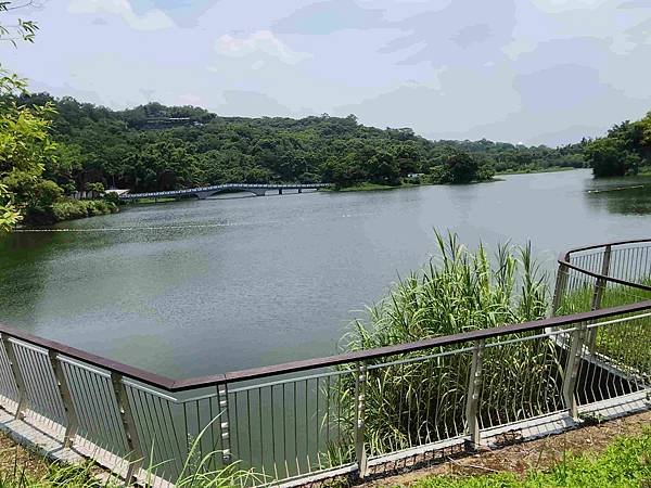 新竹青草湖鳳凰橋于飛島(鳳凰于飛)~~~新竹八景之一
