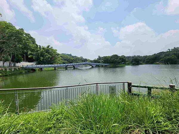 新竹青草湖鳳凰橋于飛島(鳳凰于飛)~~~新竹八景之一