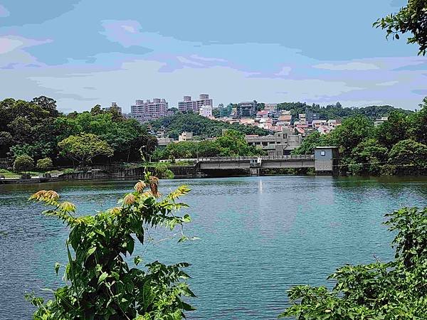 新竹青草湖鳳凰橋于飛島(鳳凰于飛)~~~新竹八景之一