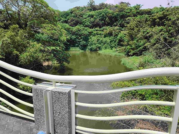 新竹青草湖鳳凰橋于飛島(鳳凰于飛)~~~新竹八景之一